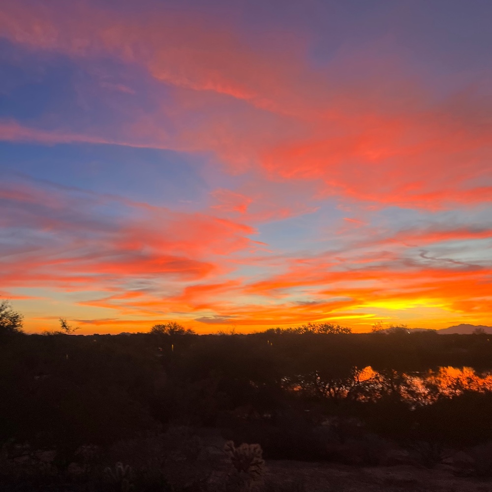 Meet your Posher, Mary jo